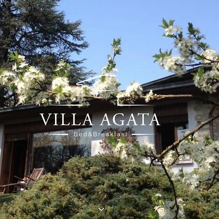 Villa Agata Reggio d'Emilie Extérieur photo